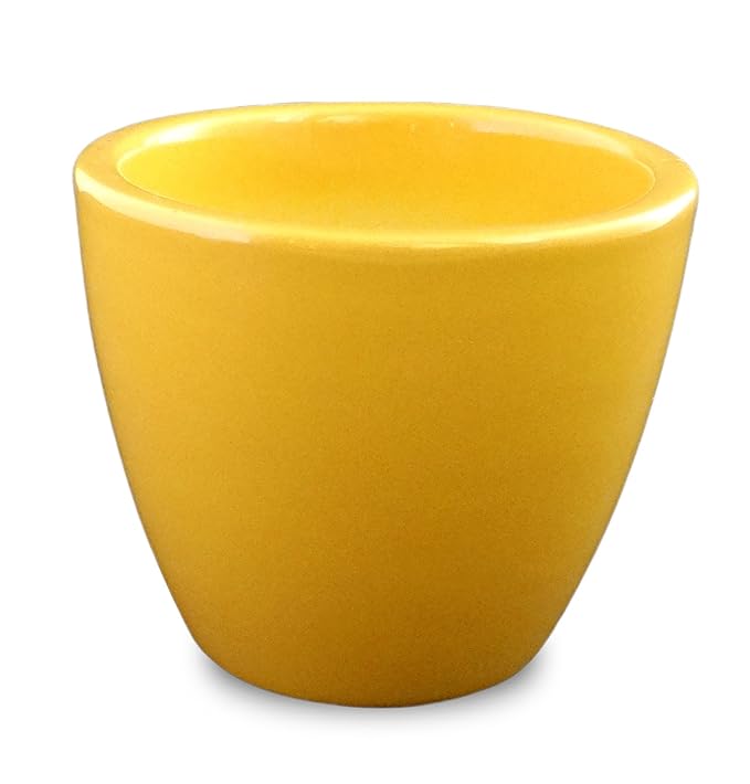 YELLOWTABLE Flower Pot (Sunshine Yellow Mini ceramic) Amazon.in