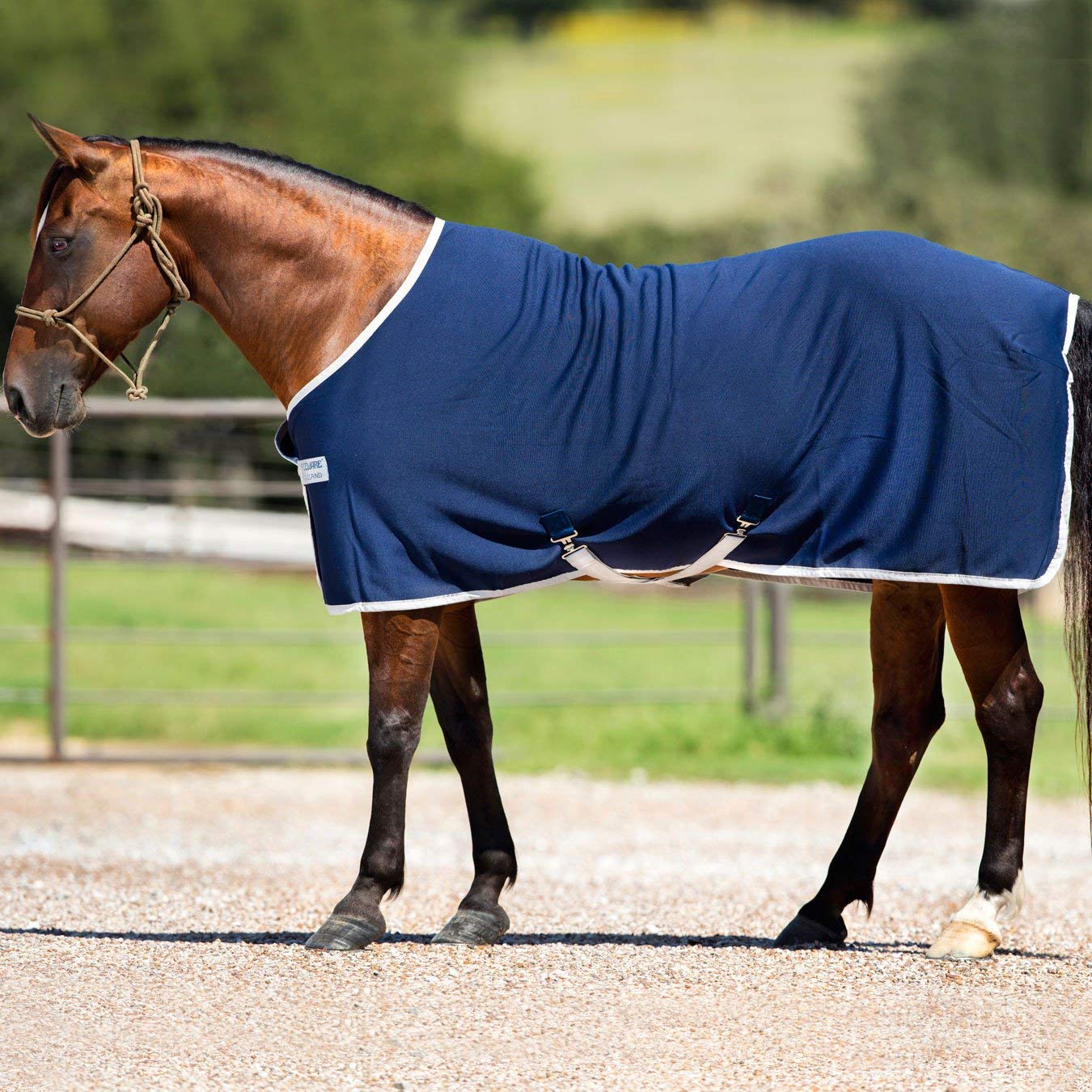 Best Cooling Blankets For Horses