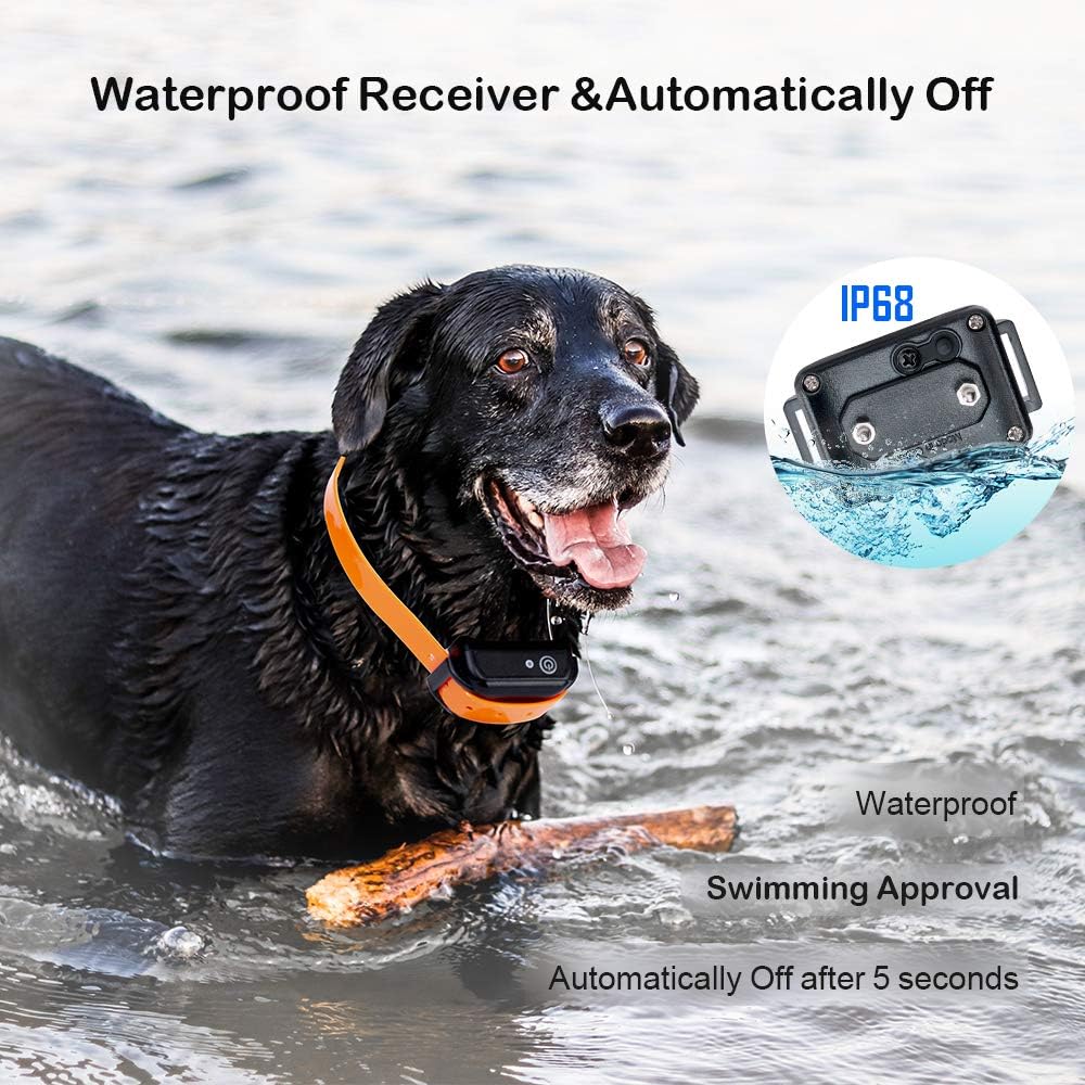 oxygentle dog collar