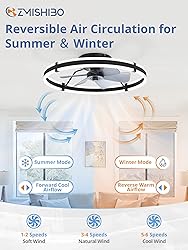 ZMISHIBO 24 Inch Ceiling Fans with Lights and