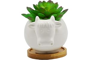 Cuteforyou Succulent Pots,Cute Animal Shaped Cartoon Ceramic Succulent Cactus Flower Pot,Pencil Holders,Desk Accessories, Makeup Brush Storage Stand-Plant Not Included (Cow)