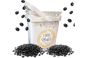 1000 SPRINGS MILL - 25lb Bulk Bucket Organic Black Beans - Used for Soups, Salads, Chili, Dips or Various Breakfast Dishes - Bulk Dry Black Beans - Vegan Friendly