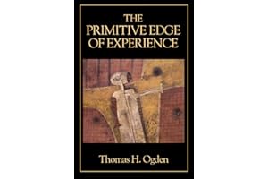 The Primitive Edge of Experience