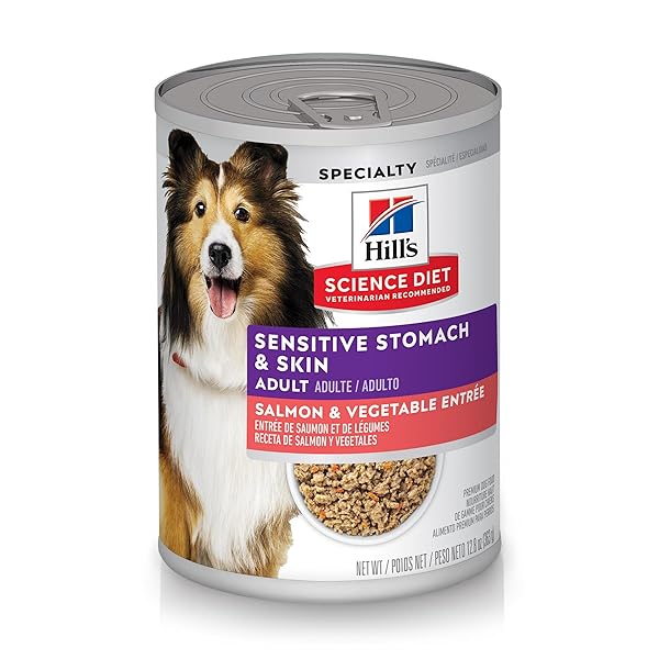 HILL’S SCIENCE DIET SENSITIVE STOMACH & SKIN, ADULT 1-6, STOMACH & SKIN SENSITIVITY SUPPORT, WET DOG FOOD, SALMON & VEGETABLES LOAF, 12.8 OZ CAN, CASE OF 12