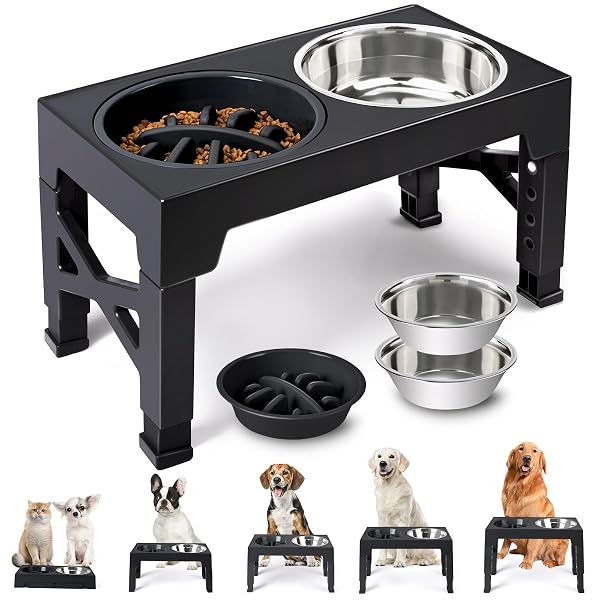 ELEVATED DOG BOWLS 5 ADJUSTABLE HEIGHT, 2 STAINLESS STEEL BOWLS, 1 SLOW FEEDER