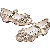 Stelle Girls Dress Shoes Glitter Princess Shoe Flower Mary Jane Low Heels Party Wedding Prom Footwear for Toddler Kids