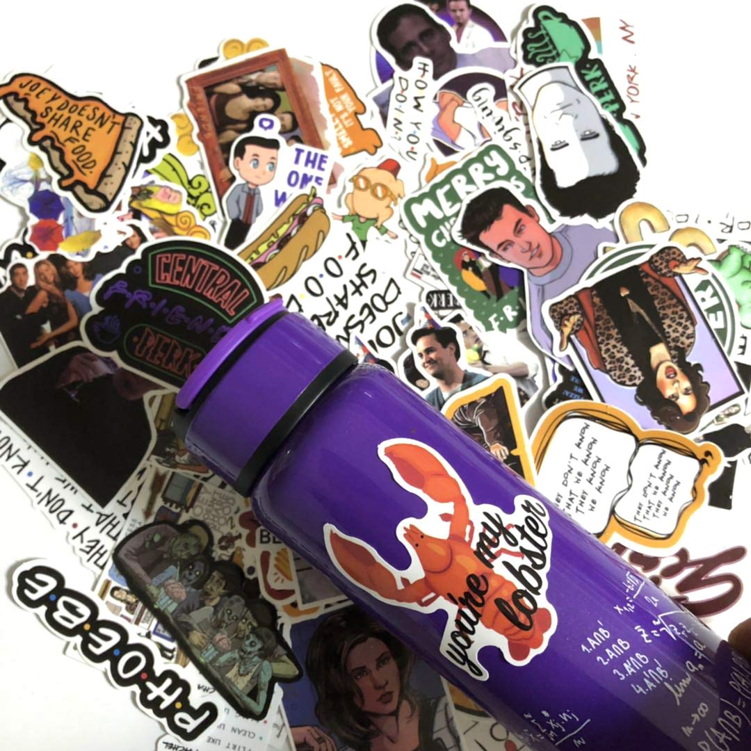 Mizzuco Vinyl Stickers Waterproof Classic Stickers 66 Pieces for Teens Girls Laptop Bumper Helmet Ipad Car Luggage Water Bottle (LY216)