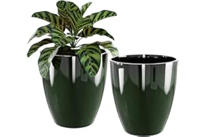 10 inch Planters for Indoor & Outdoor Plants, 2 Pack Sturdy Plant-Flower-Tree Pots for Front Porch Patio Deck Living Room Dec