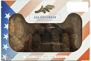 DABC OAK LAND 大包装 16OZ=453g Sun Dried Wild Caught 5~6 Years South American Sea Cucumber, AAA Grade All Natural Nutritious 5~6年参龄特级南美野生鲍鱼参/梅花刺参 50~60pcs/LB (Small 1lb/box)