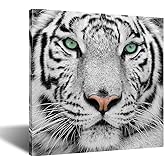 KREATIVE ARTS White Tiger Canvas Art Print Large Animal Wall Art Deco Canvas Picture Stretched on Wooden Frame as Modern Gallery Artwork Ready to Hang 24x24inch