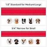 Joytale Padded Handle Dog Lead Double-Sided Reflective Nylon 1.8 m Red view 6