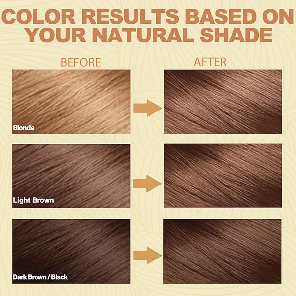 NCEPROHR INSTANT LIGHT BROWN HAIR DYE SHAMPOO 3 IN 1-500 ML