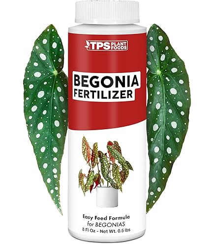 Amazon.com :  Liquid Silica Boost Fertilizer and Supplement  Spray for Begonia Plants  Pre-Mixed, Ready-to-Use Liquid Silicon Plant  Superfood Mist for Indoor & Outdoor Plants  8oz : Patio, Lawn &