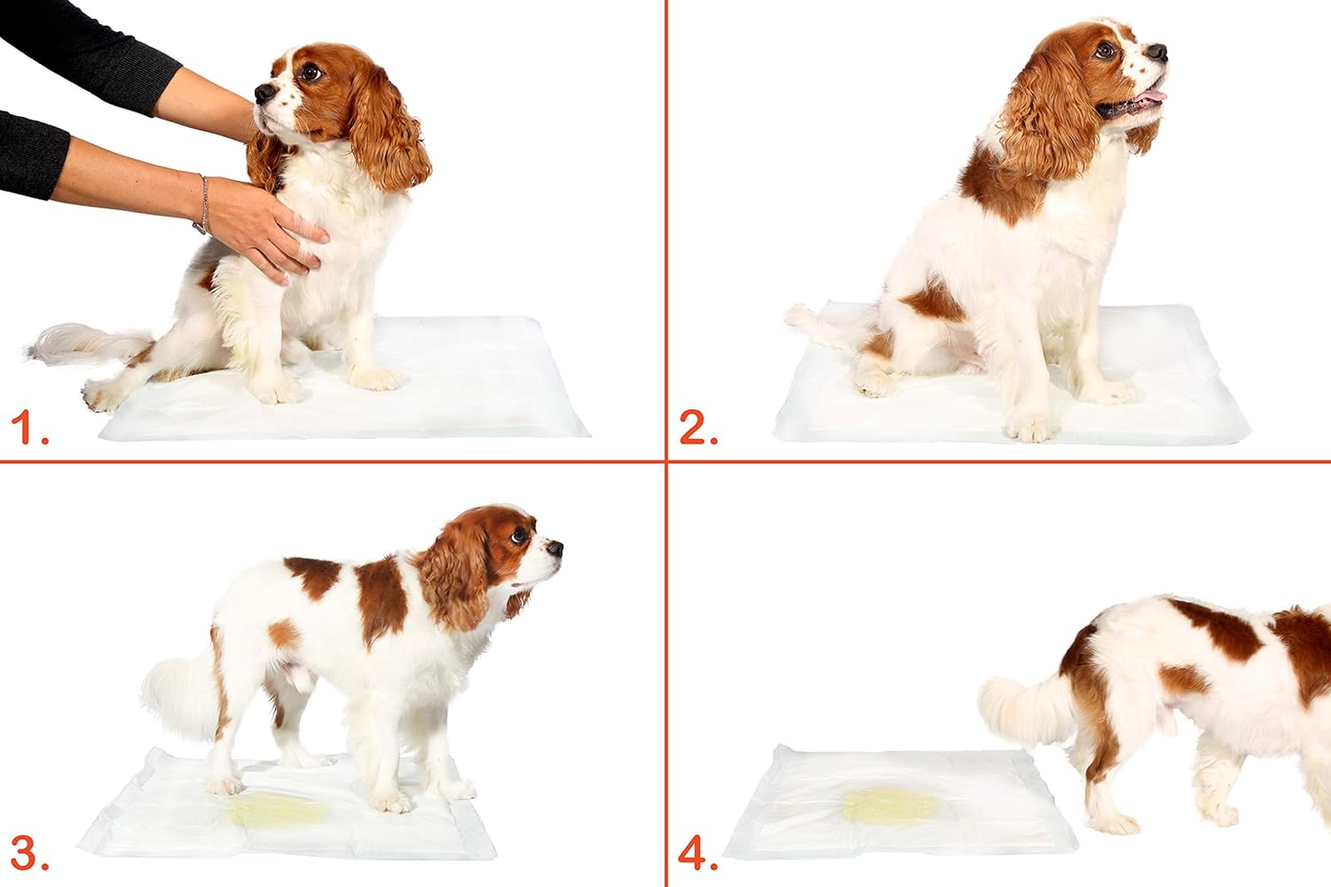 Hartz Home Protection Lavender Scented Odor Eliminating Gel Dog Pads - 50 Count : Pet Supplies