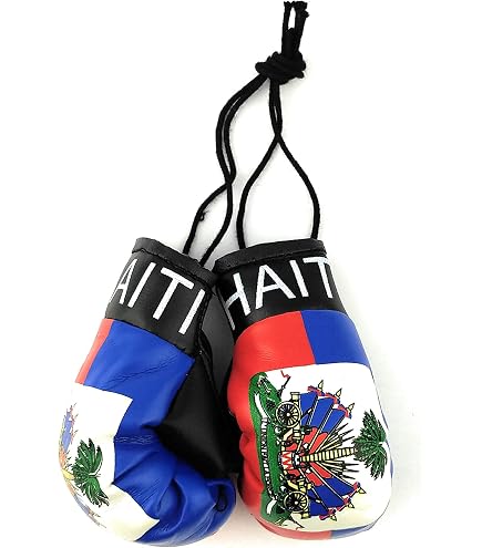 Amazon.com: Red Hat Ent Haiti Mini Hanging Boxing Gloves for Car