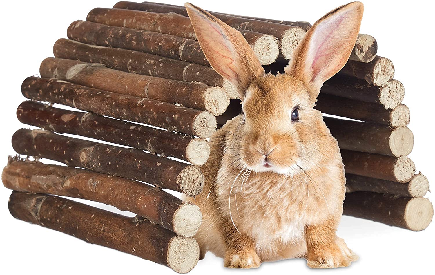 Biunixin Hamster House, Hamster Bendy Wooden Bridge Ladder House for Reptile Mice Rodents Small Animal Chew Toy (M)