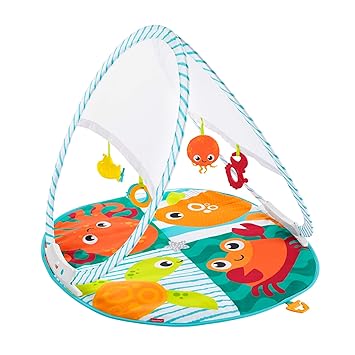 fisher price growing baby folding activity gym