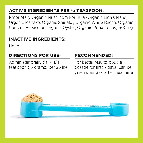 BIXBI DOG & CAT CLEAN DIGESTION SUPPORT, 2.12 OZ (60 G) – ALL NATURAL ORGANIC PET SUPERFOOD – DAILY MUSHROOM POWDER SUPPLEMENT – USA GROWN & USA MADE – VETERINARIAN RECOMMENDED FOR DOGS & CATS