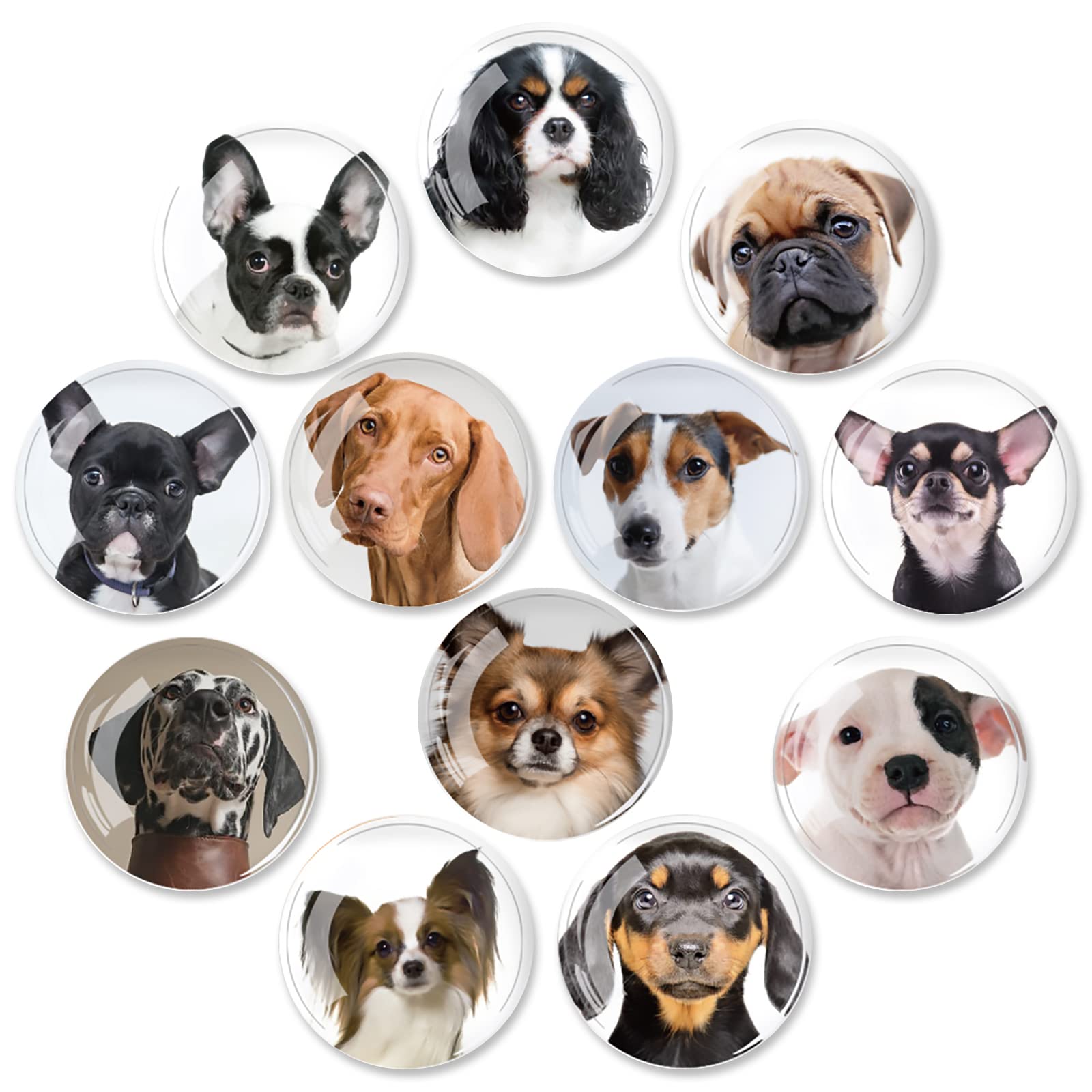 Photo 1 of 12Pcs Glass Fridge Decorative Magnets - Cute Dog Refrigerator Glass Magnets for Office Whiteboard and Household Cabinet Decoration, Strong Magnetic Power to Perfectly Hold Photos and Documents