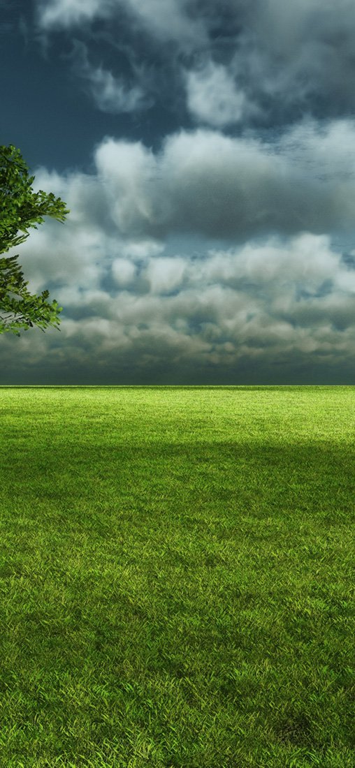 PeelitStickit, Beautiful Nature Wall Murals, ID-1974, vinyl