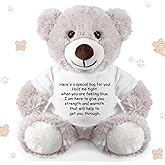 Lenwen a Bear Hug Gift Get Well Soon Sympathy for Women Plush Stuffed Animal Hug Thinking of You Condolences Memorial Loved Present(Gray,Bear)