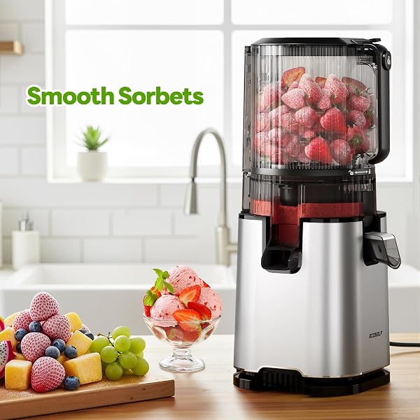 ECOSELF JUICER MACHINES WITH 3 FILTERS (FOR JUICE/SORBET/NUT MILK), SLOW MASTICATING JUICER WITH 6.0″ WIDE MOUTH HOPPER FOR VEGETABLES & FRUITS, SELF FEEDING, JUICER FOR FAMILY PARTY, WITH PUSHER