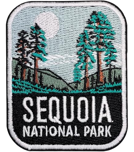 Carta Da Parati Sequoie Giganti Nel Sequoia National Park, California - Foto 4
