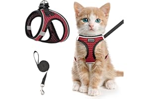 SALFSE Cat Harness and Leash for Walking Escape Proof, Adjustable Kitten Vest Harness Reflective Soft Mesh Puppy Harness for Outdoor, Comfort Fit, Easy to Control (Red, XXS)