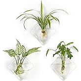 Mkono Wall Planter Hanging Propagation Stations Flower Vase Glass Pots Holder for Hydroponic Plants, Indoor Home Office Living Room Bathroom Decor Gifts, 3 Pack