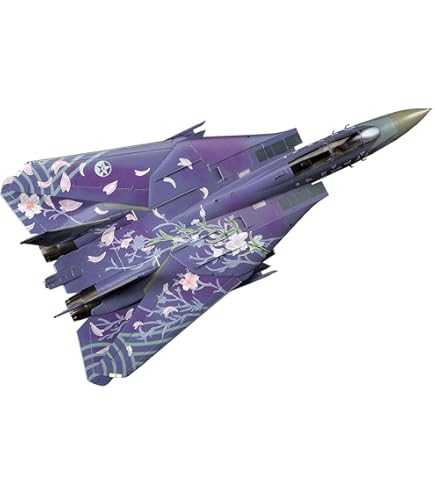 Amazon.com: Hasegawa 1/48 F-22 Raptor Mobius 1 [IUN] Ace