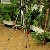 Nikon AF-S DX VR 55-200mm F4-5.6 G: Amazon.es: Electrónica