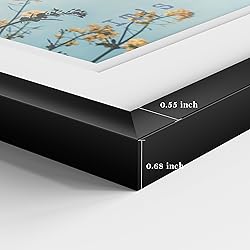 eletecpro 16x24 Aluminum Record Frame with 2