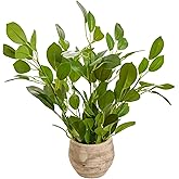 Arbolanta 17.8'' Fake Plant Lifelike Ficus Style Artificial Faux Greenery in Rustic Spherical Pot for Indoor & Covered Outdoor Decor