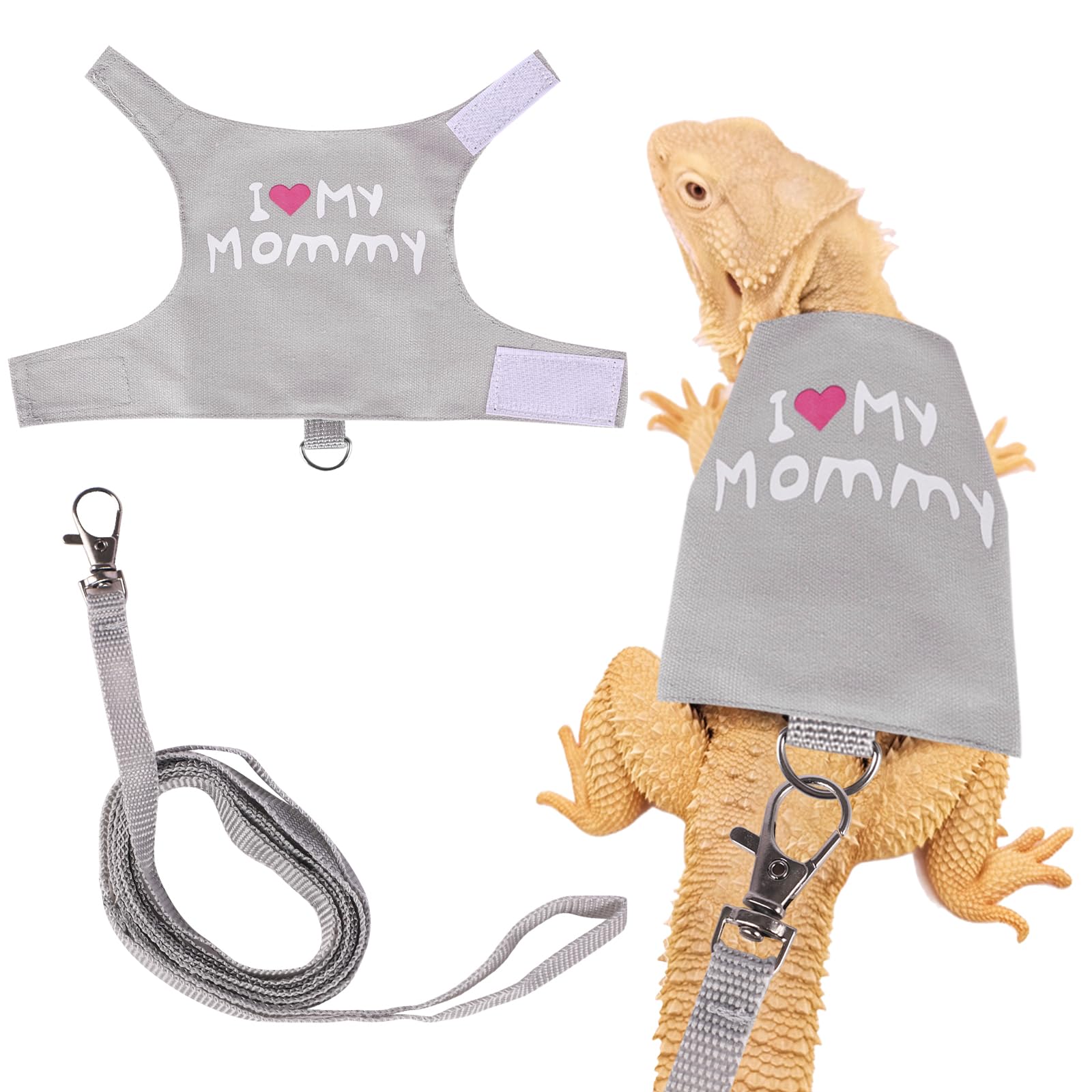 Fnaobai Bearded Dragon Harness and Leash Set Adjustable Reptile Lizard Leash Rope Vest Clothes Starter Kit Accessories for Small Animal Outdoor Walking Training