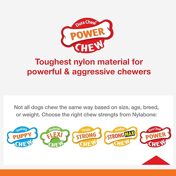 NYLABONE ORIGINAL BONE POWER CHEW TOY FOR DOGS, DURABLE DOG TOYS FOR AGGRESSIVE CHEWERS, BASTED BLAST CHICKEN FLAVOR, LARGE – UP TO 50 LBS, 2 PACK