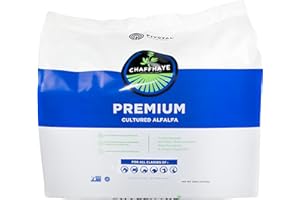 Pivotal Chaffhaye, Premium Cultured Alfalfa Hay for Livestock and Cattle, Horses, Camelids, Small Animals, Alfalfa Hay for Guinea Pigs, Alfalfa Hay for Rabbits (20 lbs), Gold