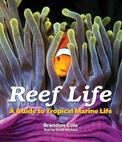 Download Reef Life: A Guide to Tropical Marine Life PDF
