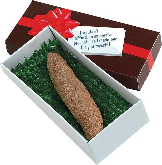 Bristol Novelties Adult Fake Human Poop Toilet Prank Joke
