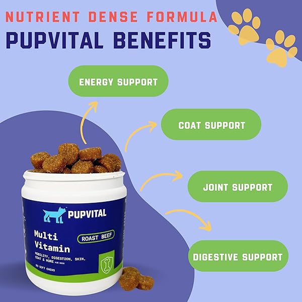 PUPVITAL MULTIVITAMIN TREATS FOR DOGS – GLUCOSAMINE FOR JOINT SUPPORT + SALMON OIL FOR SKIN & COAT HEALTH + IMMUNE HEALTH – ROAST BEEF FLAVOR – 90CT