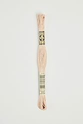 Dmc 6-Strand Embroidery Cotton 8.7yd-Black
