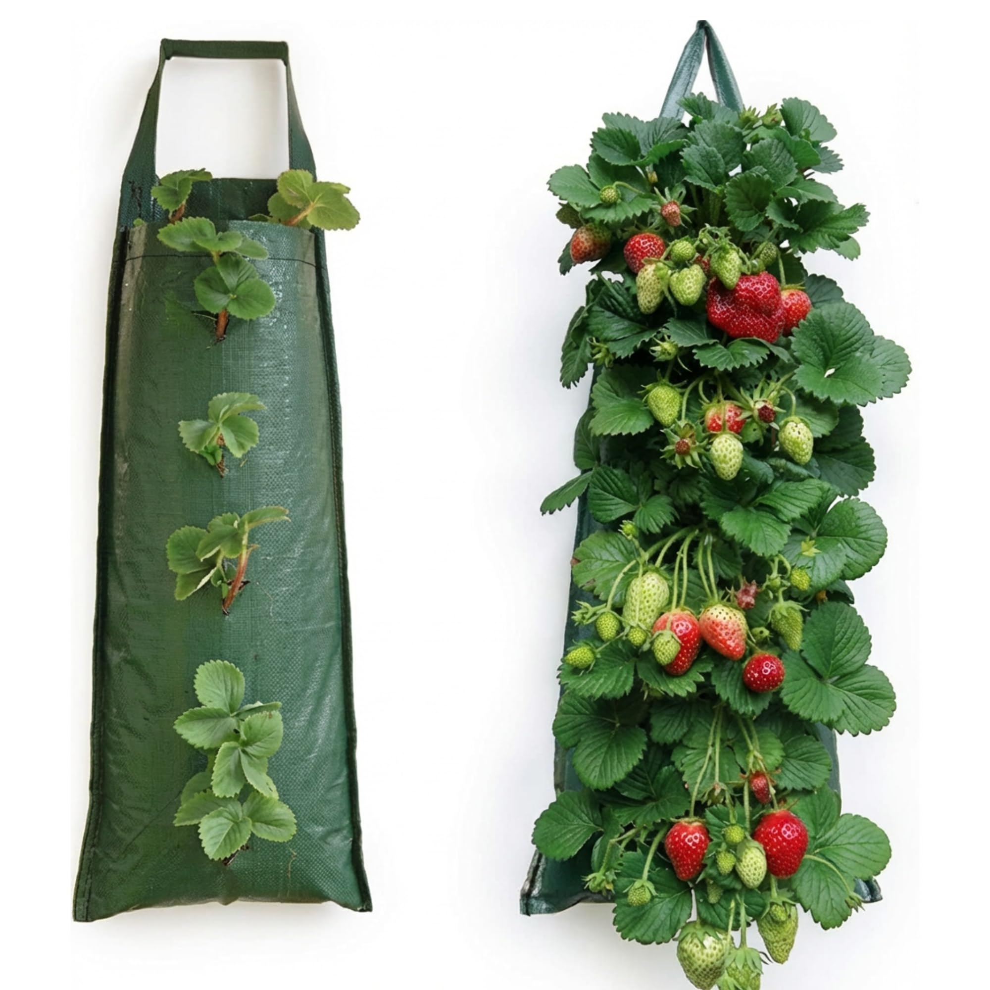 Nutley's 5 Hanging Strawberry Flower Bag Planters Pouch grow fruit herbs flowers UV treated, Green, One Size