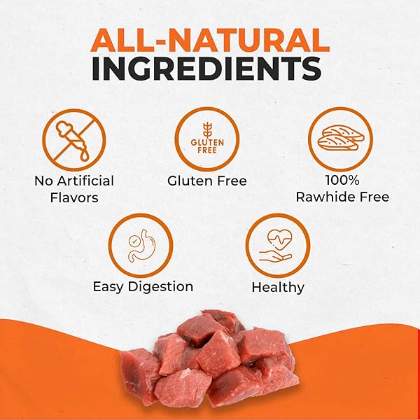 CANINE NATURALS BEEF CHEW – RAWHIDE FREE DOG TREATS – MADE WITH REAL BEEF – POULTRY FREE RECIPE – ALL-NATURAL AND EASILY DIGESTIBLE – 40 PACK OF 5 INCH STICK CHEWS