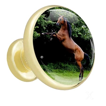 Küchenschrank Knöpfe Gold Braunes Pferd Tier Nachttischknöpfe Bemalte