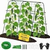 FOLLOOK Cucumber Trellis for Raised Garden Bed, 48x48inch, Green | Rustproof Metal Garden Arch Trellis for Climbing Plants Support Outdoor Fruit Grape Vine Vegetable Tomato Pole Bean Pea
