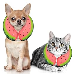 Dog Cone Collar for Small Medium Large Dogs for