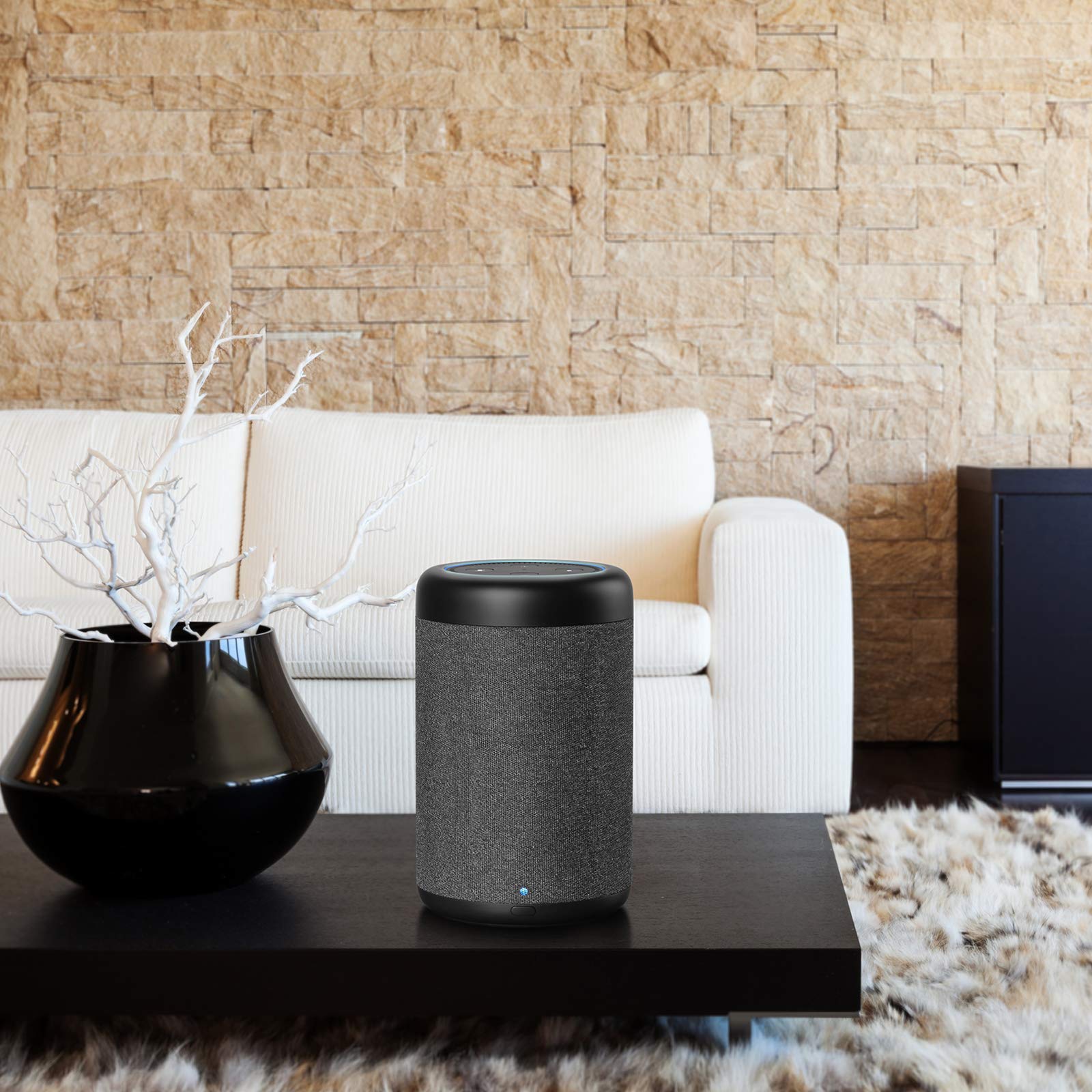 GGMM D6 Portable Speaker for Dot 2nd Generation, 20W Powerful True 360 Alexa Speakers (Black) (DOT Sold Separately)