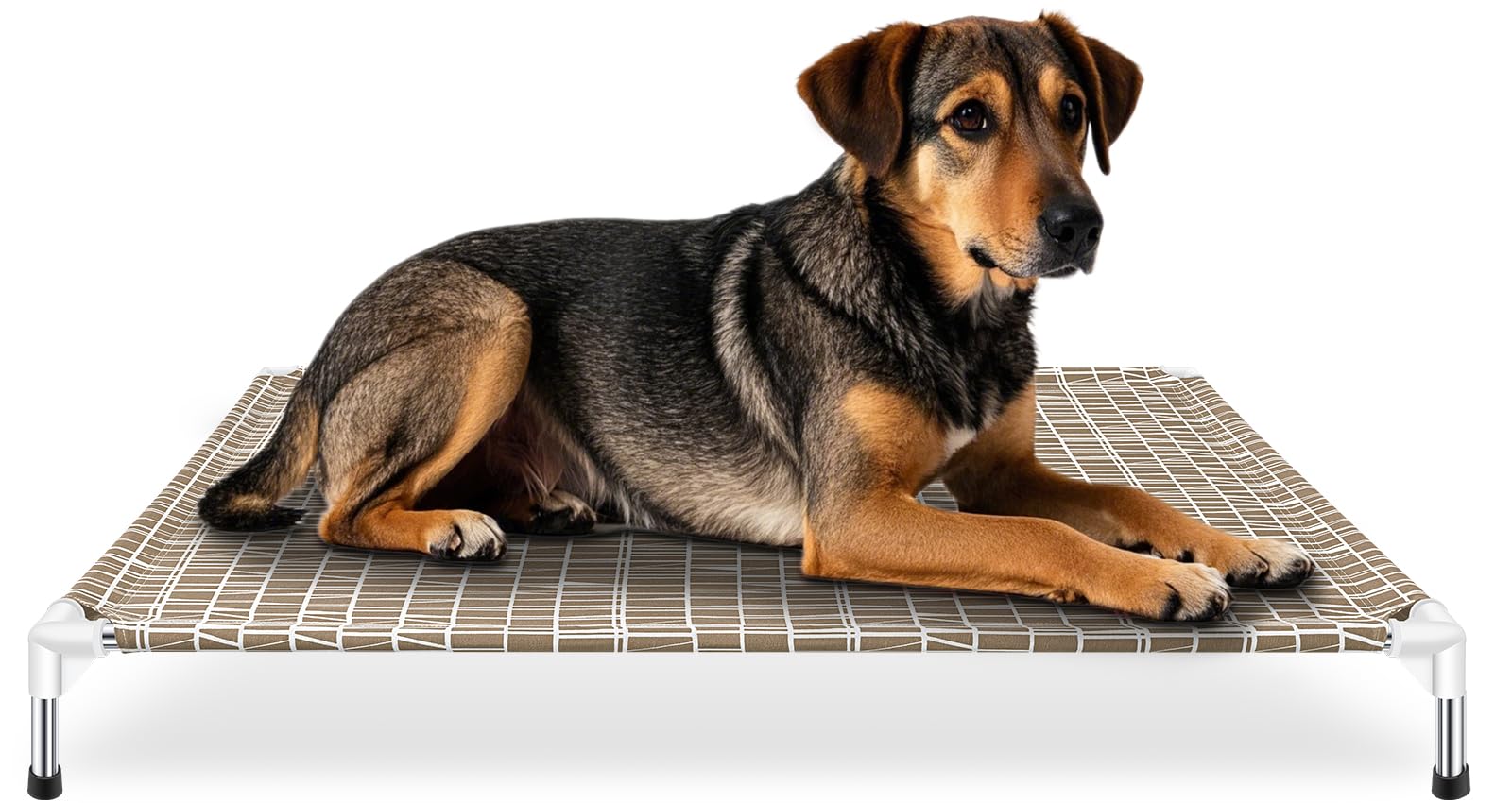 Photo 1 of **PARTS MISSING**Dopliv Elevated Dog Bed - Raised Pet Cot for Large Dogs, Portable Indoor & Outdoor Dog cot Bed, Soft and Comfortable, Pet Bed for Camping or Beach, XL