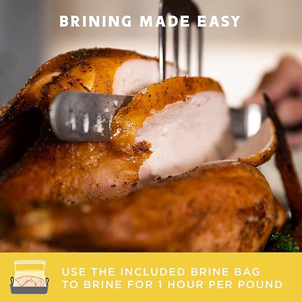 FIRE & FLAVOR LEMON PEPPER TURKEY PERFECT BRINE – TURKEY BRINE KIT WITH BAG FOR ROASTING, GRILLING, SMOKING, AND FRYING – BRINING SEASONINGS FOR COOKING AND TURKEY BRINE BAG – TURKEY BRINE AND RUB KIT