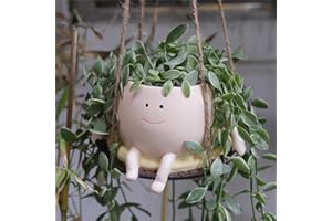 UMESONG Hanging Swing Chair Planter Pot Resin Smiley Face Planter for Indoor Outdoor Plant Cute Head Flower Pots for String of Pearls Plant Live Unique Gift IdeaI for Mother Day, Christmas (Small)