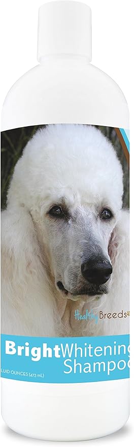 golden retriever bright whitening shampoo